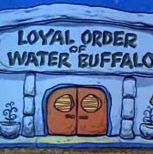 Meet your Posher, Ben